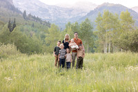Johnson Family 2026